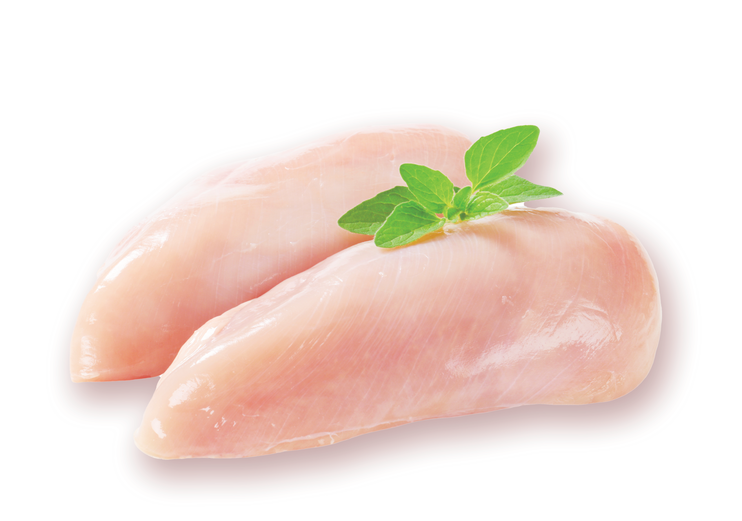 Chicken Breast